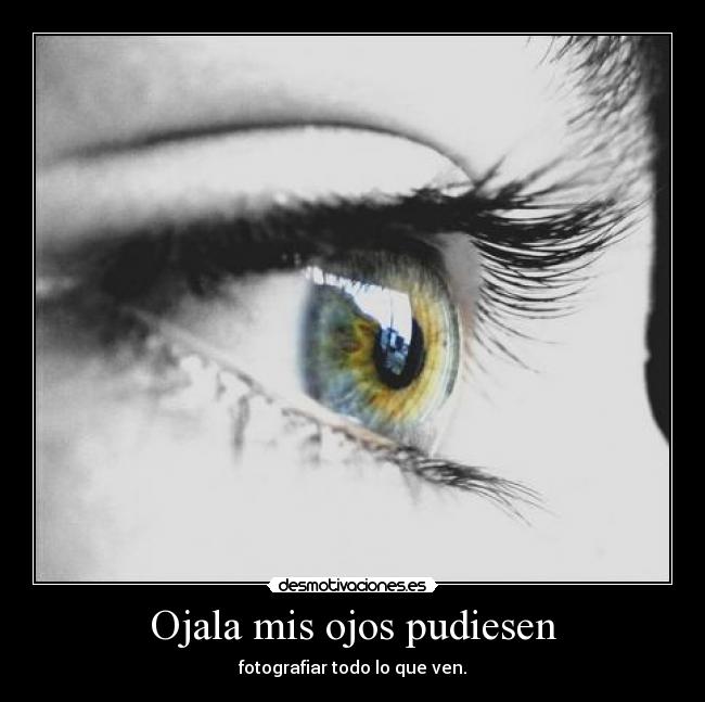 Ojala mis ojos pudiesen - fotografiar todo lo que ven.