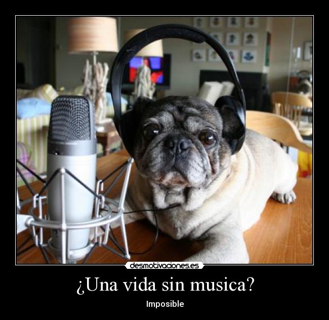 ¿Una vida sin musica? - Imposible