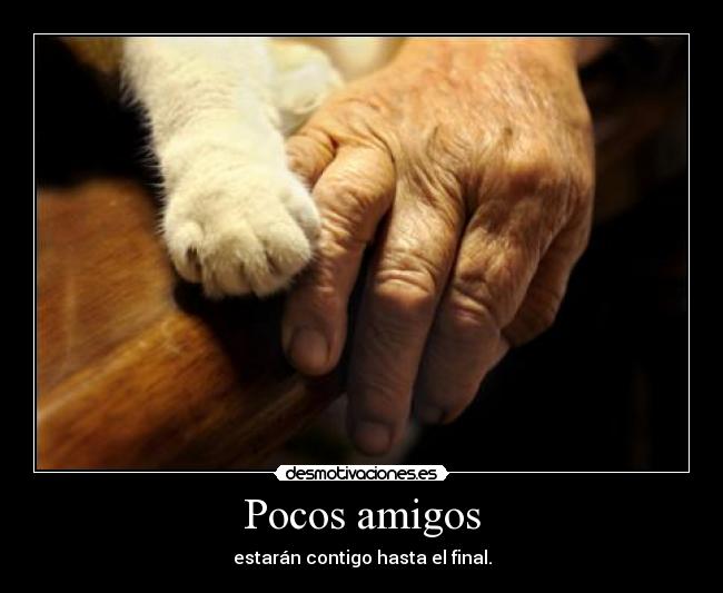 carteles amigos noalmaltratoanimal desmotivaciones