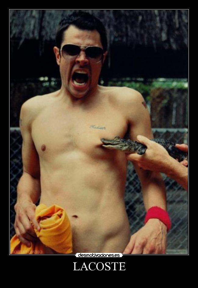 LACOSTE -