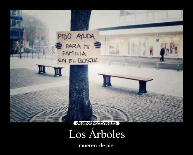 Los Árboles - 