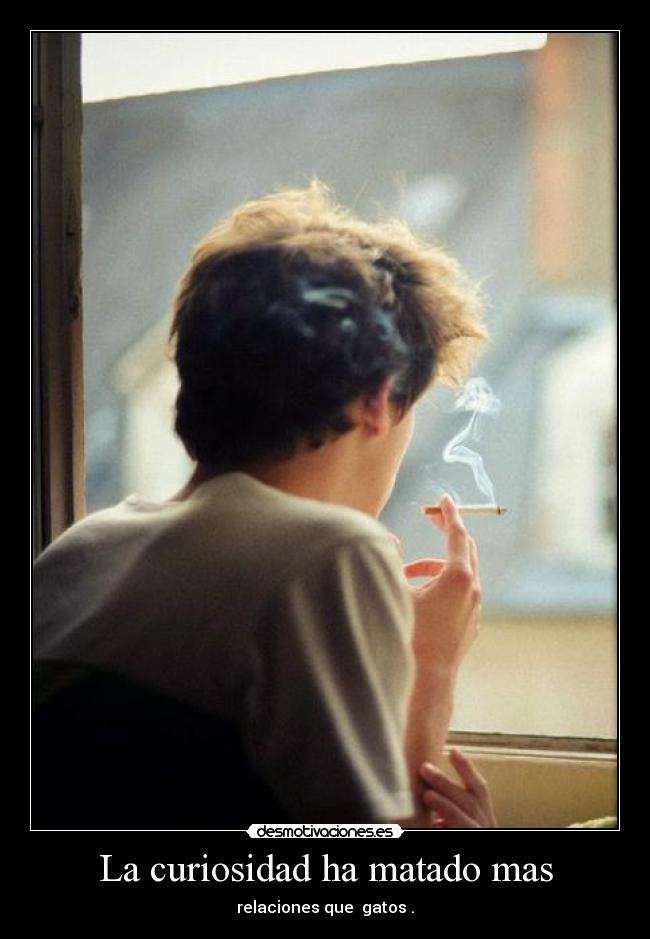 La curiosidad ha matado mas - 