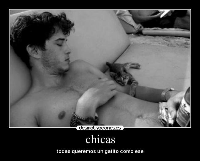 chicas - todas queremos un gatito como ese