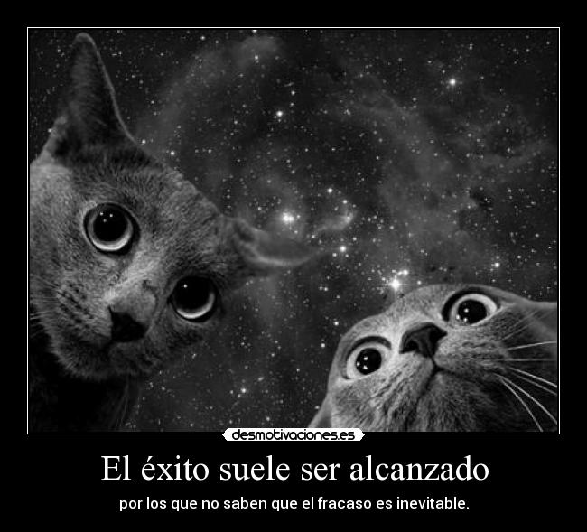 El éxito suele ser alcanzado -