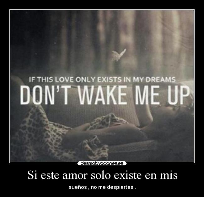 carteles amor ss1996 desmotivaciones