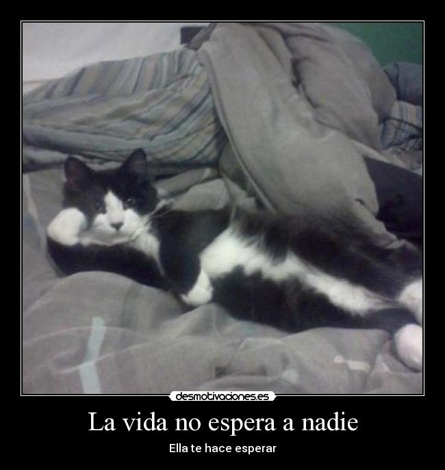La vida no espera a nadie - 