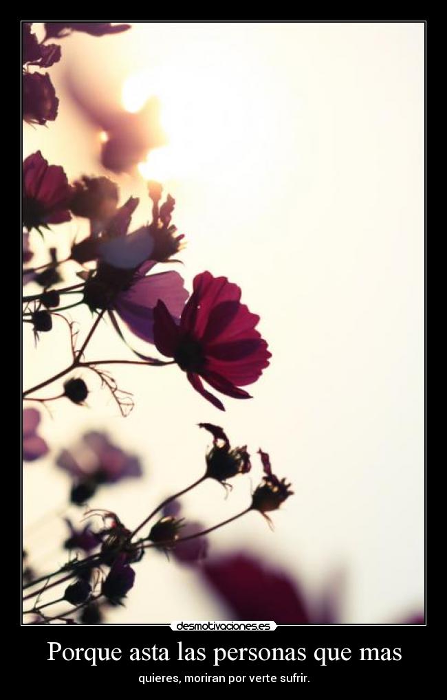 carteles personas que mas quieres desmotivaciones