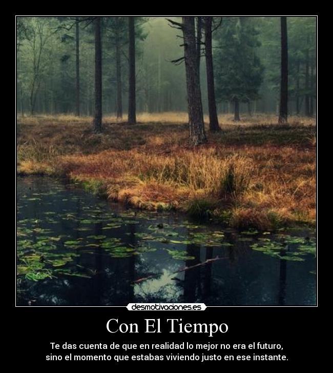 carteles con tiempo desmotivaciones