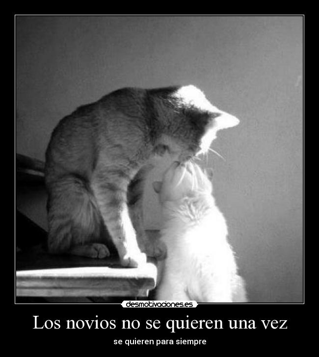 carteles amor desmotivaciones