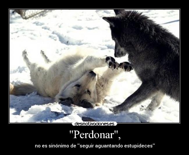 Perdonar, - no es sinónimo de seguir aguantando estupideces