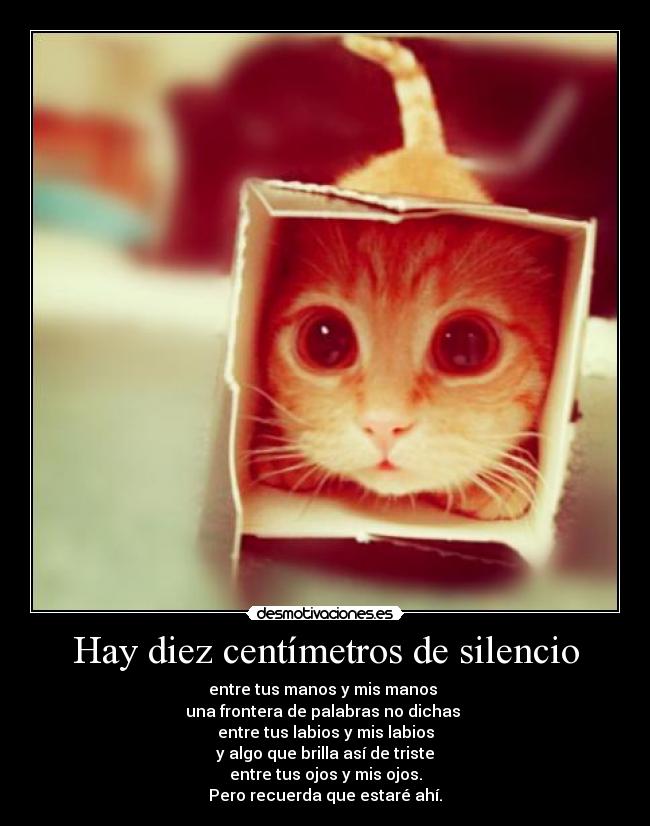 Hay diez centímetros de silencio - entre tus manos y mis manos
una frontera de palabras no dichas
entre tus labios y mis labios
y algo que brilla así de triste
entre tus ojos y mis ojos.
Pero recuerda que estaré ahí.