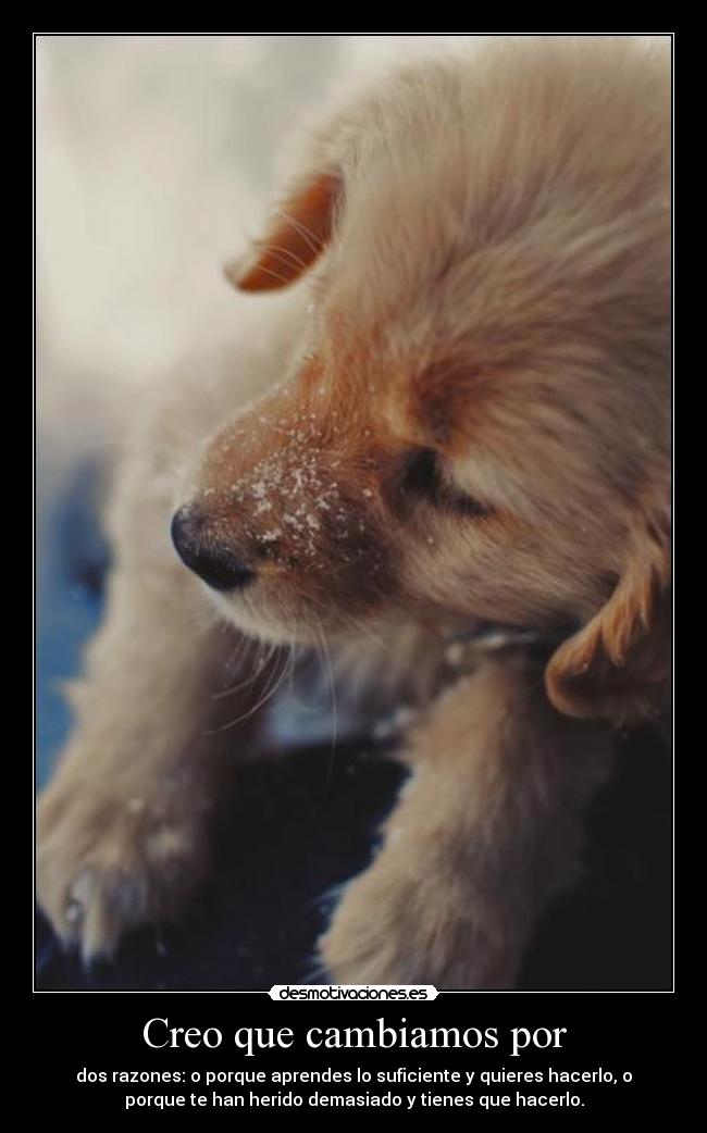 carteles cambios desmotivaciones