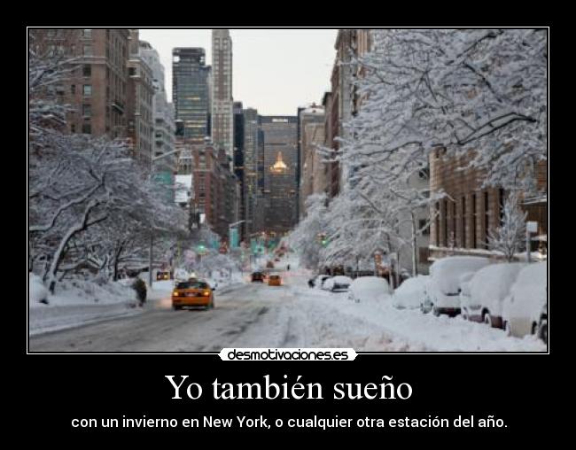 Yo también sueño - con un invierno en New York, o cualquier otra estación del año.