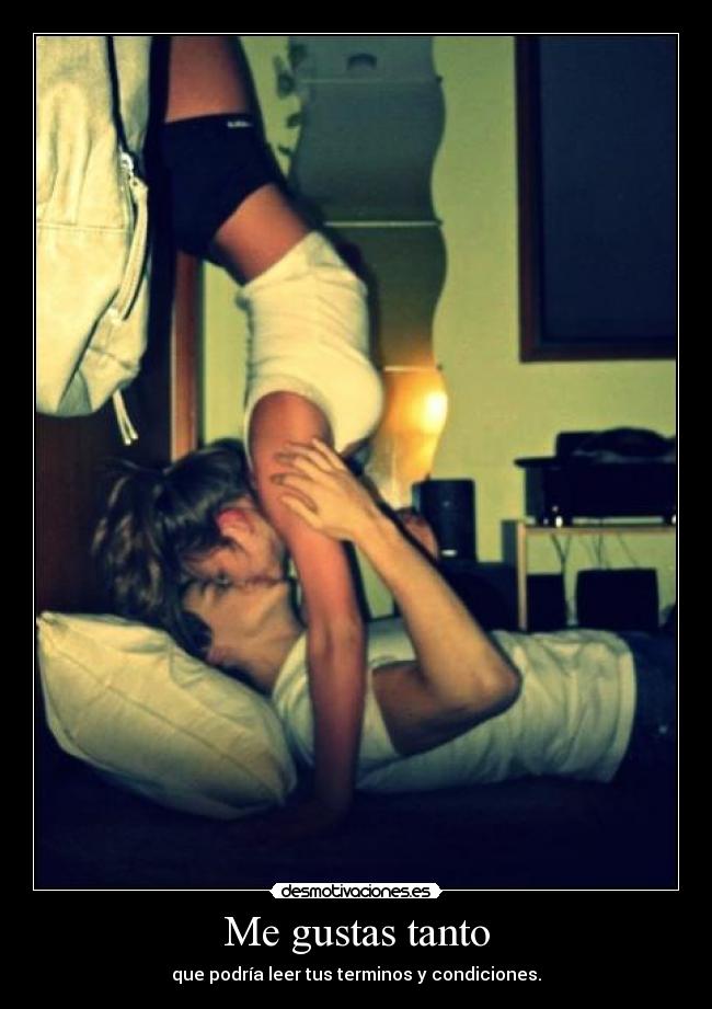 Me gustas tanto - que podría leer tus terminos y condiciones.