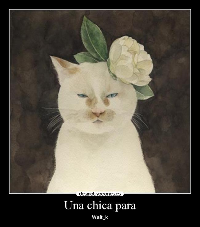 Una chica para - Walt_k