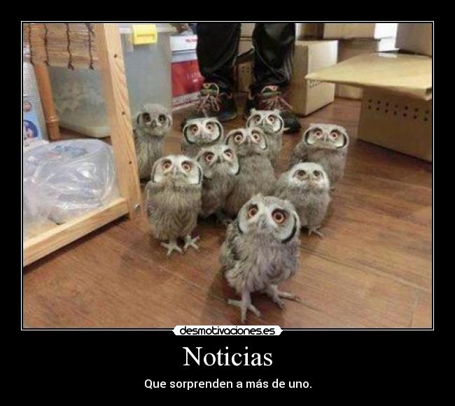 Noticias - Que sorprenden a más de uno.