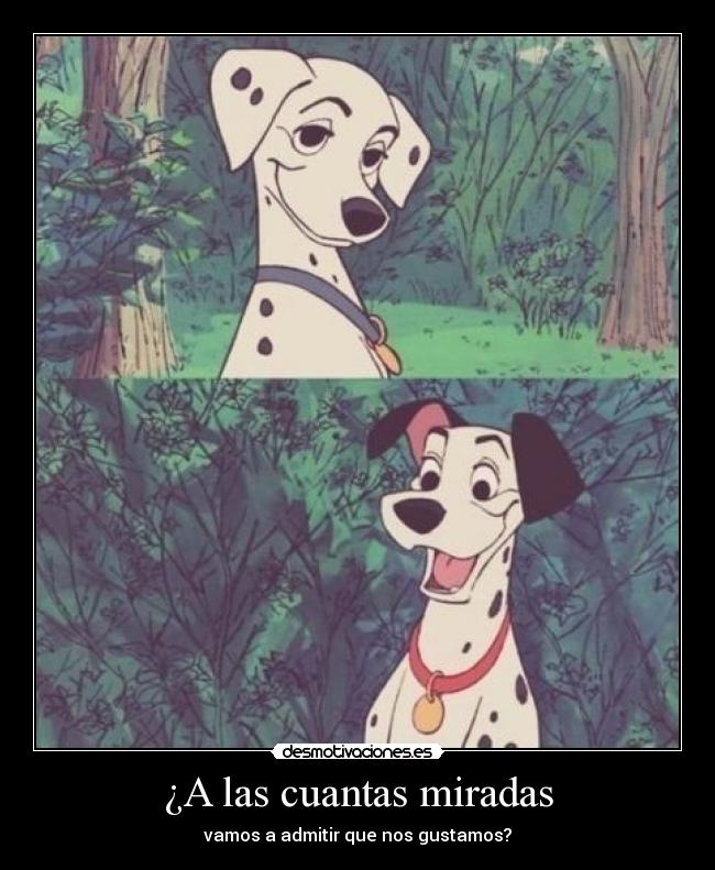 ¿A las cuantas miradas - vamos a admitir que nos gustamos?