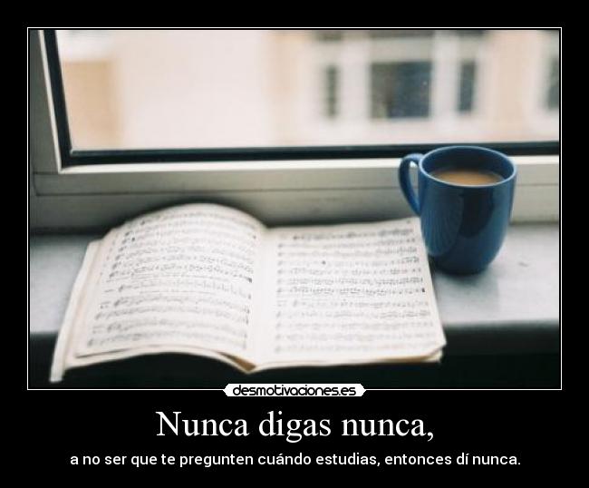 carteles poia cohone unicorniosfelices totalnadieleelasetiquetas desmotivaciones