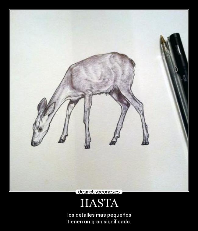 HASTA - los detalles mas pequeños
tienen un gran significado.