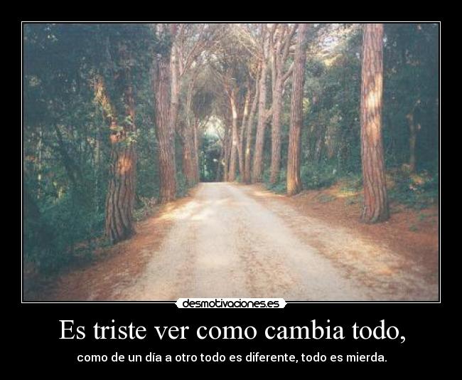 Es triste ver como cambia todo, - como de un día a otro todo es diferente, todo es mierda.