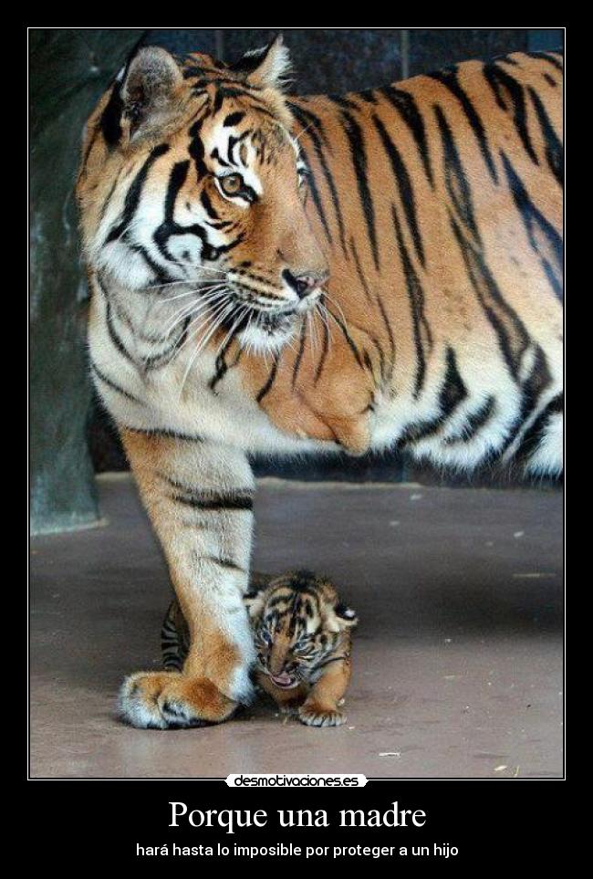 Porque una madre - hará hasta lo imposible por proteger a un hijo