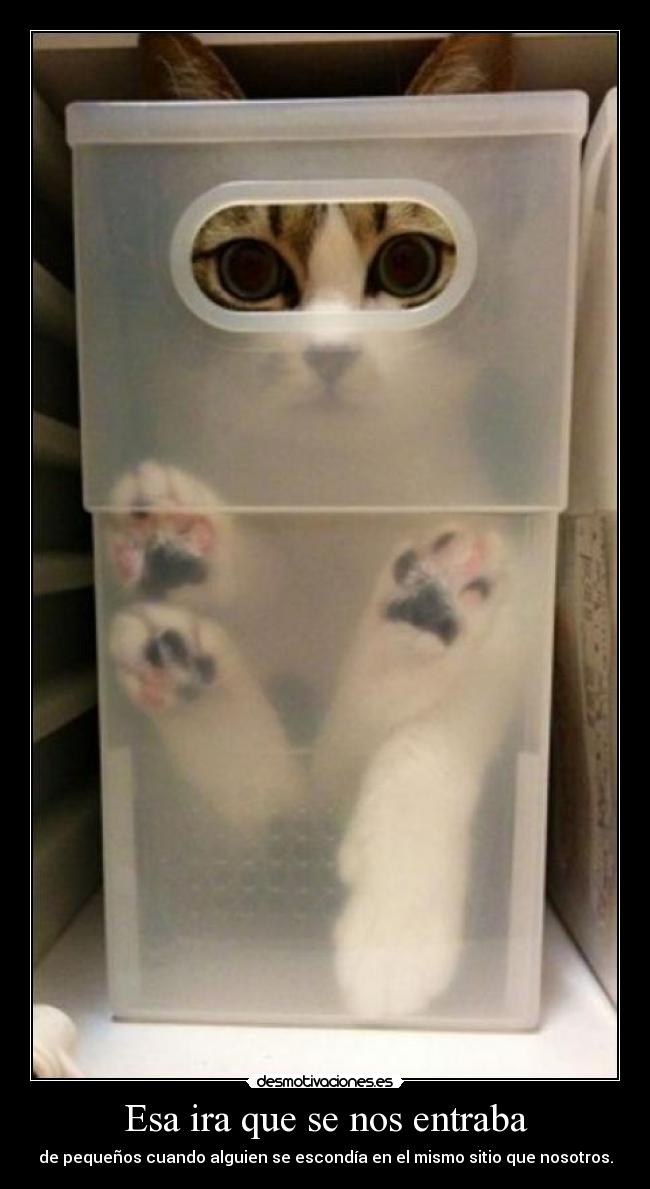 Esa ira que se nos entraba - de pequeños cuando alguien se escondía en el mismo sitio que nosotros.