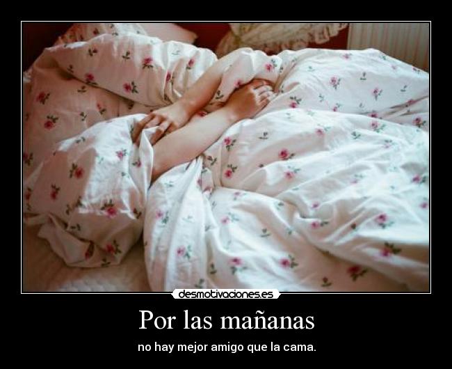 Por las mañanas - no hay mejor amigo que la cama.