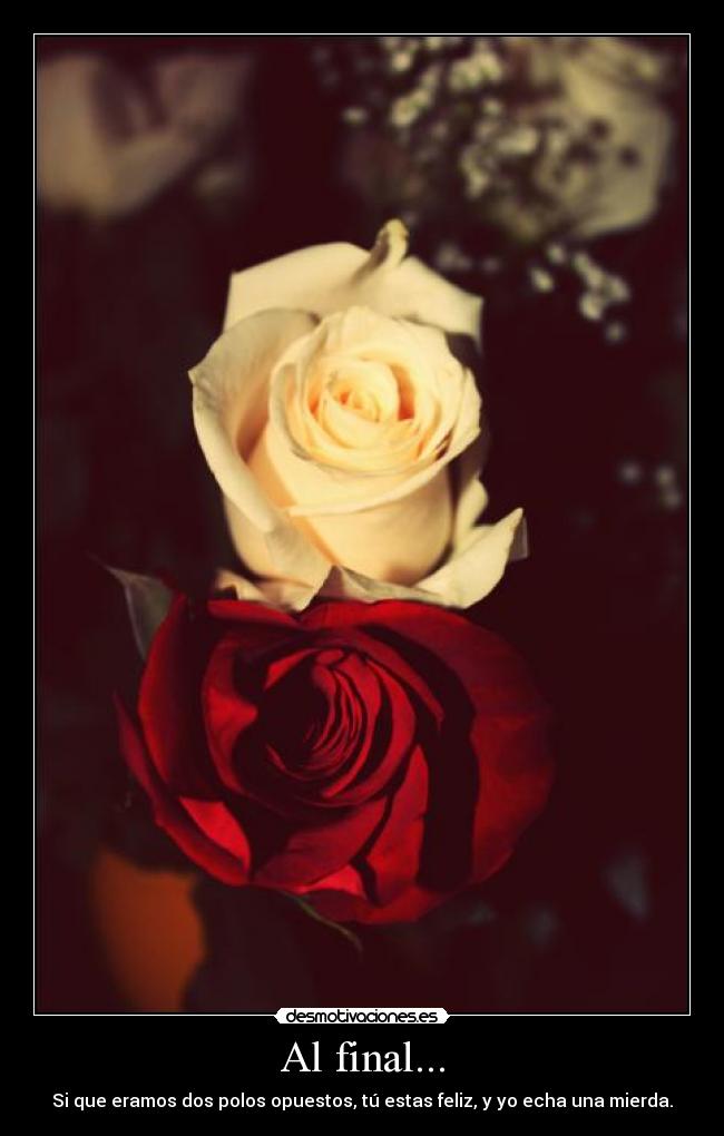 Al final... - Si que eramos dos polos opuestos, tú estas feliz, y yo echa una mierda.