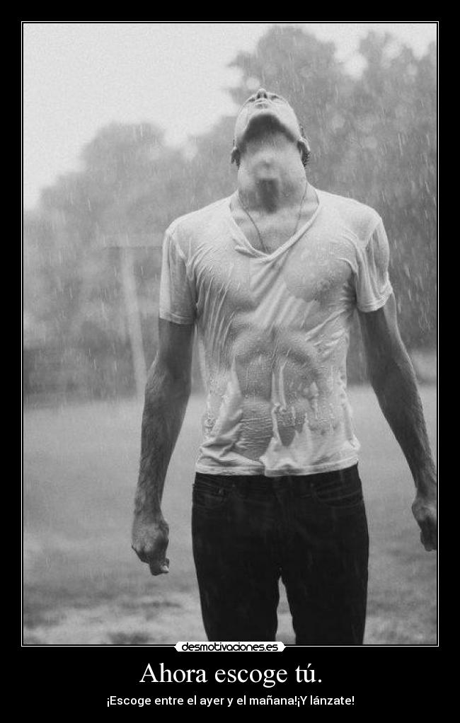 carteles ahora escoge desmotivaciones