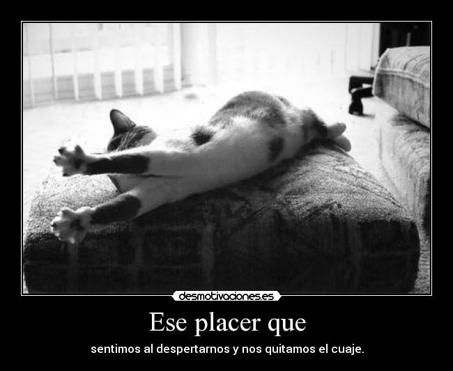 carteles sonrisaseverywhere desmotivaciones