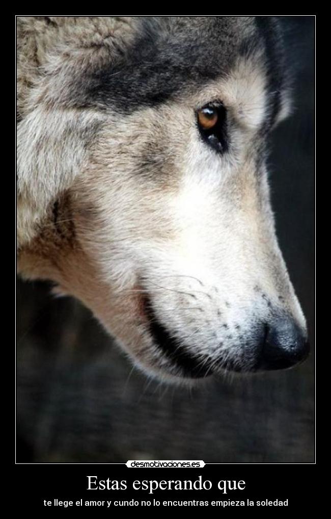 Estas esperando que - 