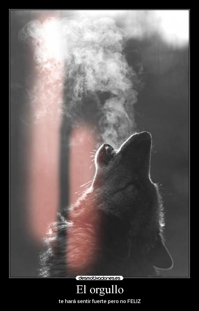 El orgullo - 