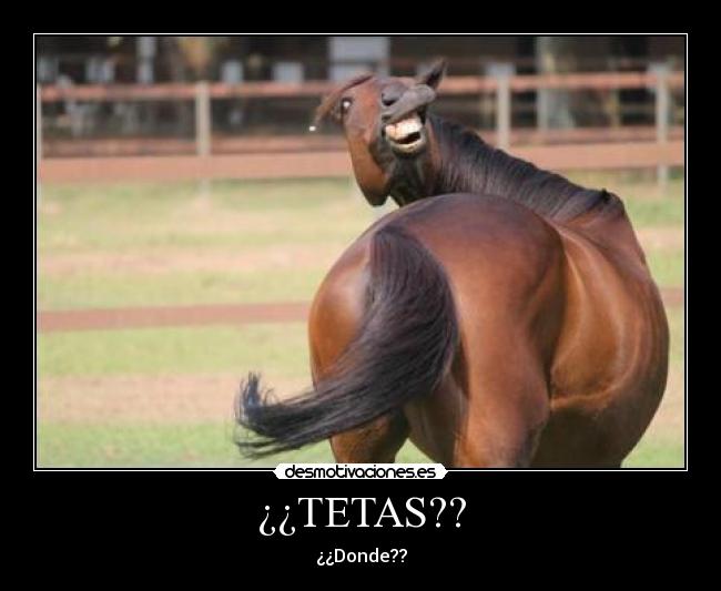 ¿¿TETAS?? - ¿¿Donde??