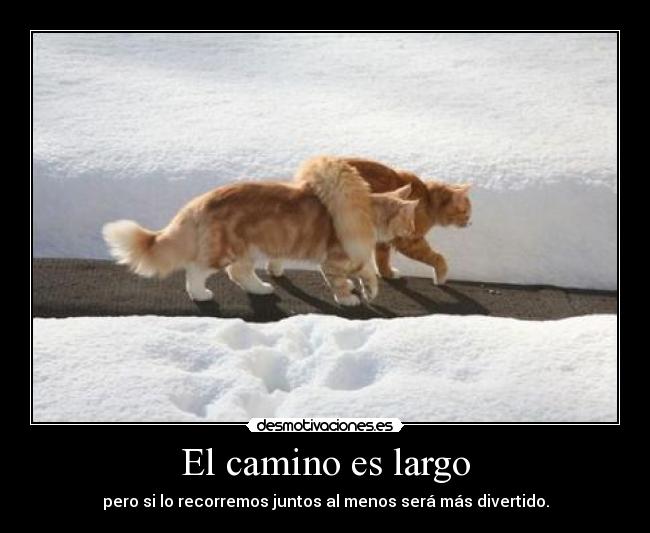 El camino es largo - pero si lo recorremos juntos al menos será más divertido.