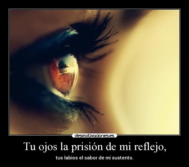 Tu ojos la prisión de mi reflejo, - 