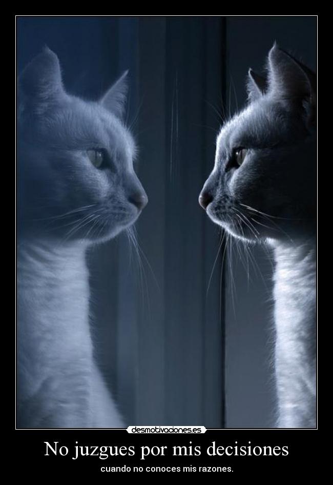 No juzgues por mis decisiones -