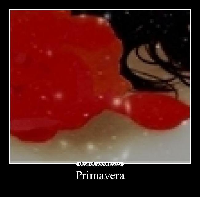 Primavera - 