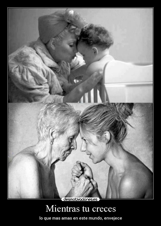 carteles mientras creces desmotivaciones