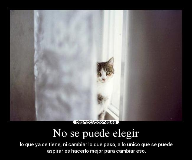 No se puede elegir - lo que ya se tiene, ni cambiar lo que paso, a lo único que se puede
aspirar es hacerlo mejor para cambiar eso.