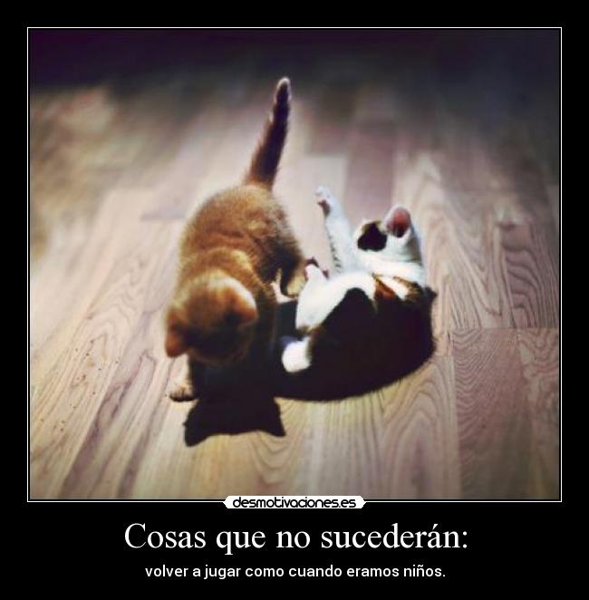 carteles thegirltwinkle dosguiond gatosygatosymasgatos estecartelnoconvence epoca anorada desmotivaciones