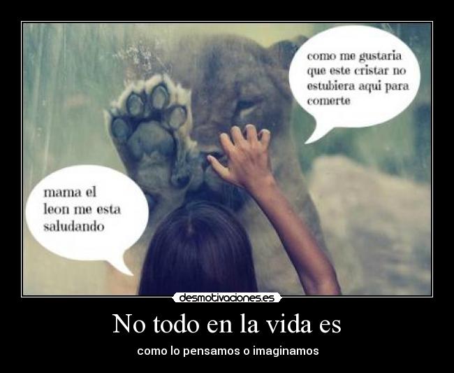 No todo en la vida es - 