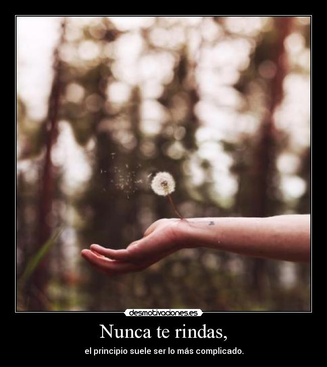 Nunca te rindas, - el principio suele ser lo más complicado.