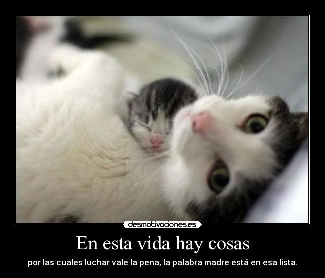 En esta vida hay cosas - por las cuales luchar vale la pena, la palabra madre está en esa lista.