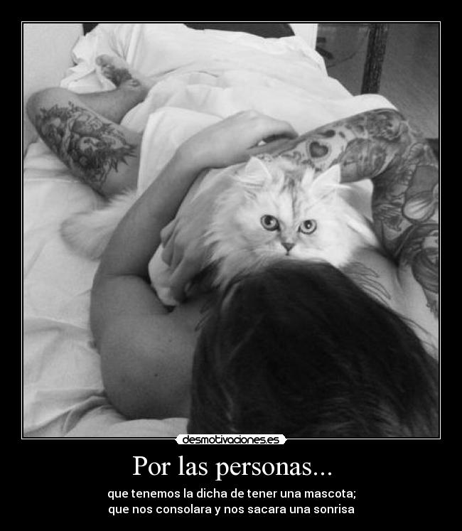 Por las personas... - que tenemos la dicha de tener una mascota;
que nos consolara y nos sacara una sonrisa