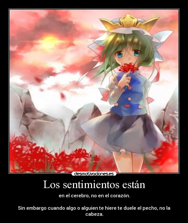 carteles sentimientos magicalsurrealism anime lobitozxc nomiresaqui raptorhunters fuck logic faggots desmotivaciones
