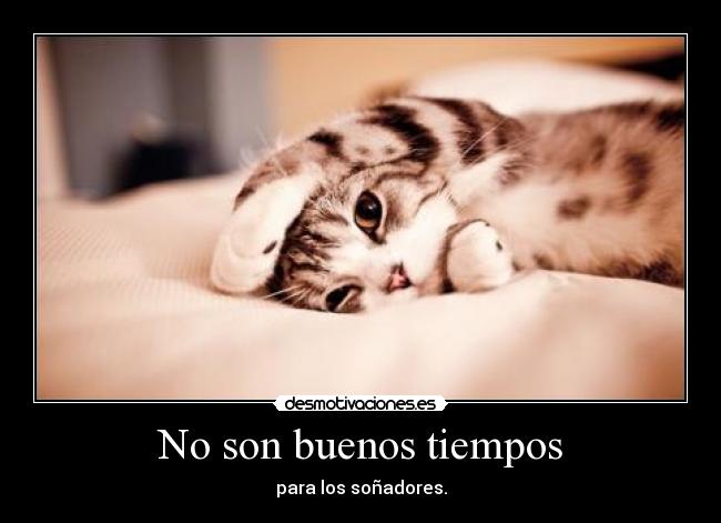 No son buenos tiempos - para los soñadores.