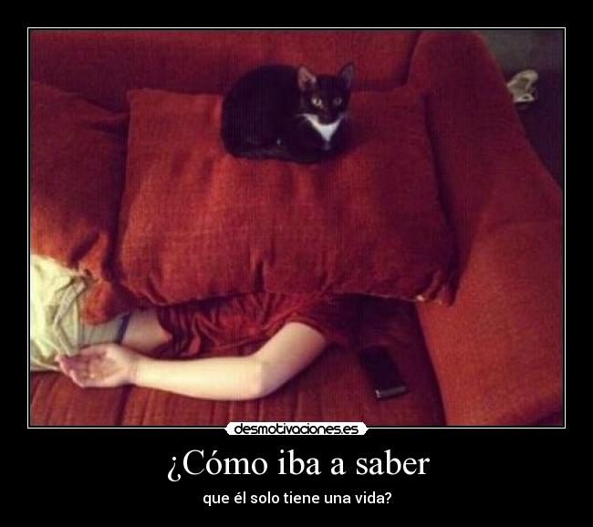 ¿Cómo iba a saber - 