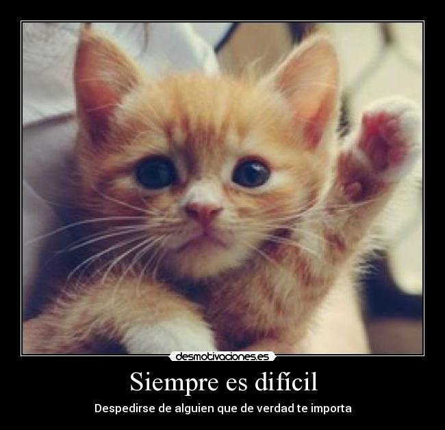 Siempre es difícil - 