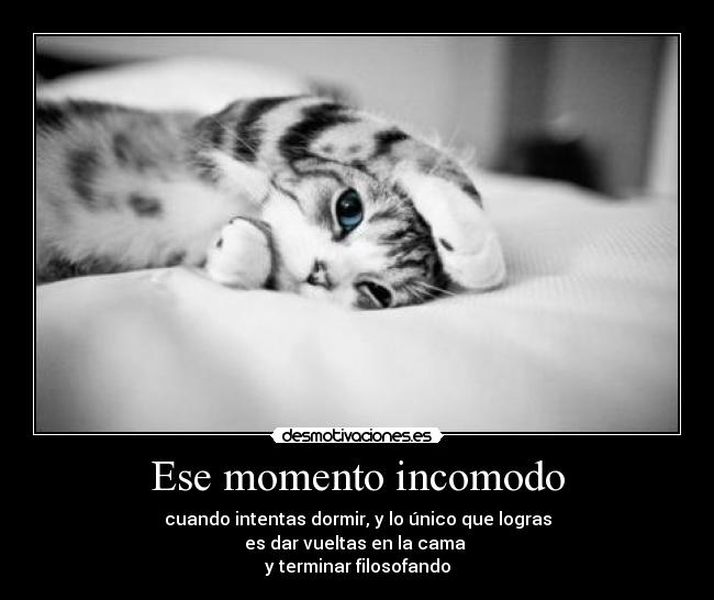 Ese momento incomodo - cuando intentas dormir, y lo único que logras
es dar vueltas en la cama
y terminar filosofando