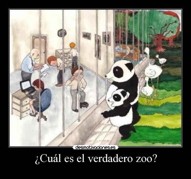 ¿Cuál es el verdadero zoo? - 